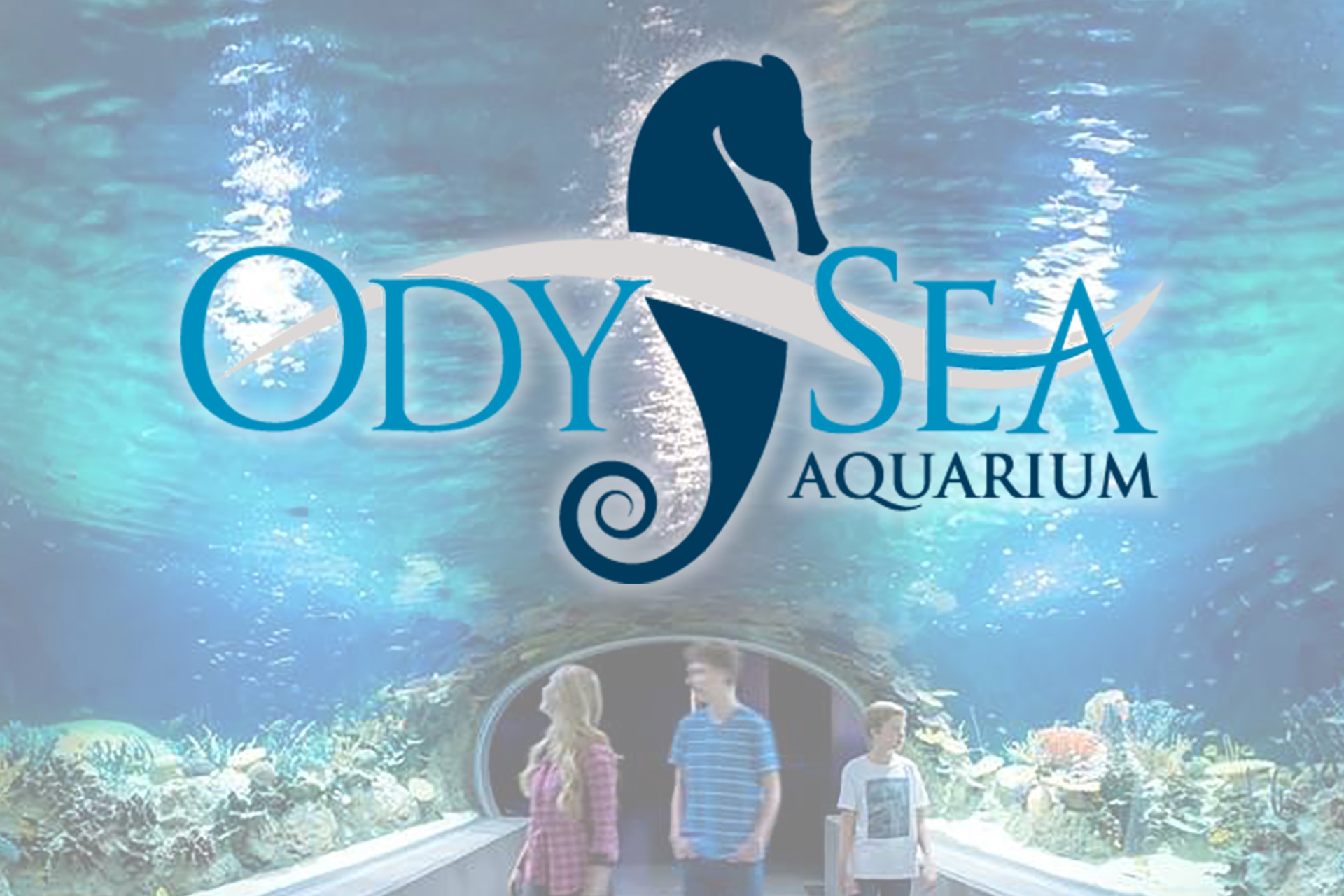 OdySea Aquarium